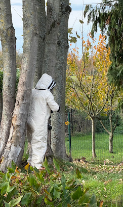 Destruction nid au paintball