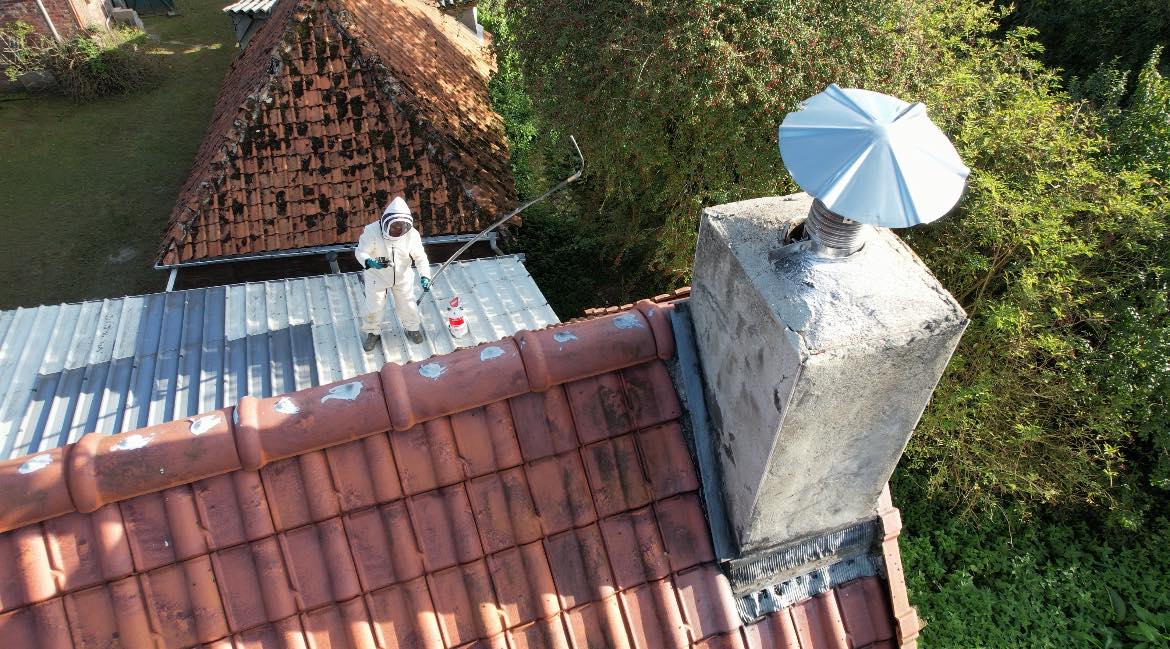 Pourquoi faire appel à un désinsectiseur local pour éliminer les nids de guêpes ?