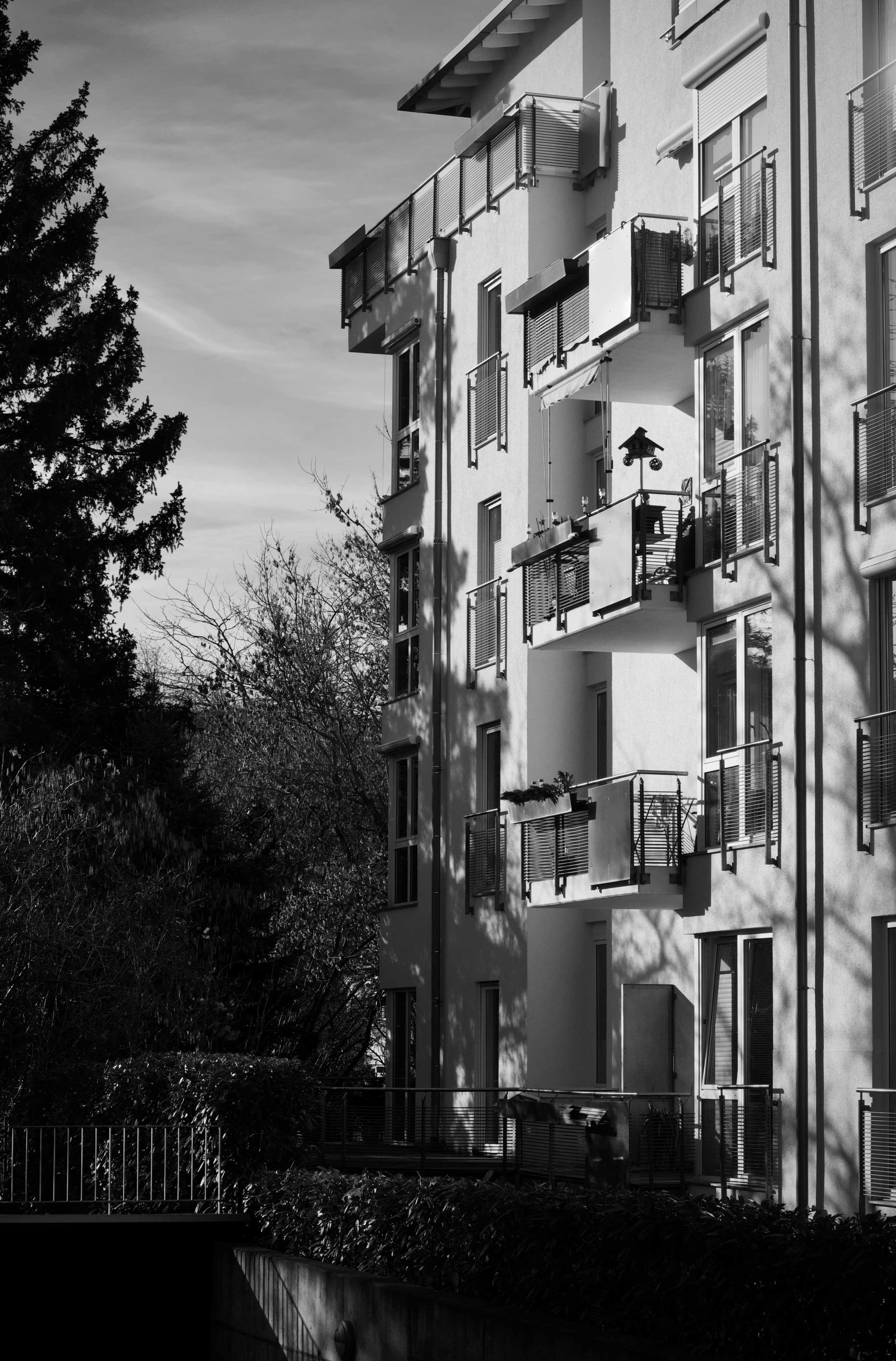 Guide dératisation pour copropriété efficace