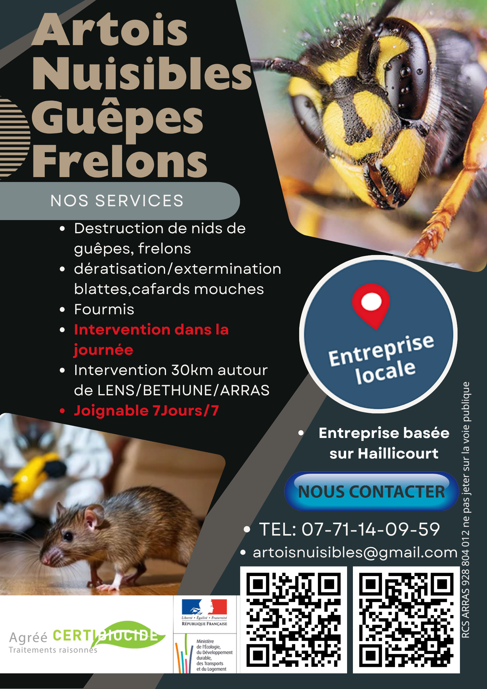 Cafards : désinsectisation ou gel appât ?