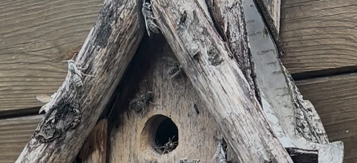 Cette image a un attribut alt vide ; le nom du fichier est image.jpg