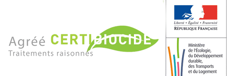 certification artois nuisibles guêpes frelons