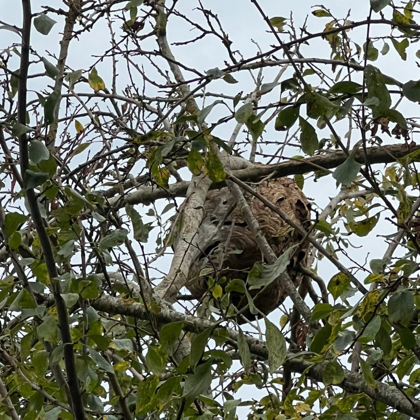 Cette image a un attribut alt vide ; le nom du fichier est image-1366x1366.jpg