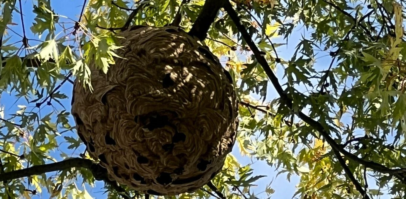 Cette image a un attribut alt vide ; le nom du fichier est image-1366x669.jpg