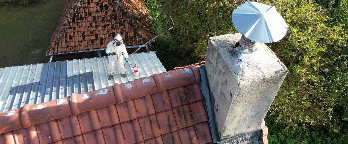 frelon européeen toiture mont saint eloi