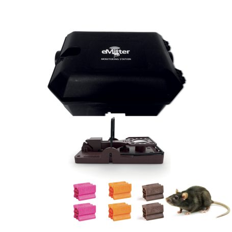 Cette image a un attribut alt vide ; le nom du fichier est image-455x455.jpg