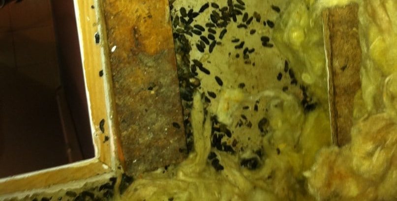 Cette image a un attribut alt vide ; le nom du fichier est image.jpg