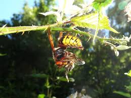 Cette image a un attribut alt vide ; le nom du fichier est image.jpg