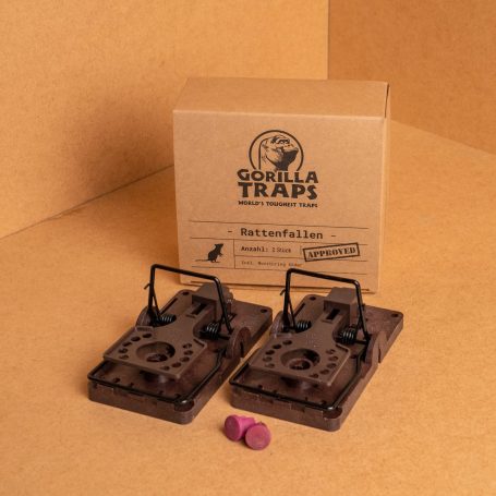 Cette image a un attribut alt vide ; le nom du fichier est image-455x455.jpg