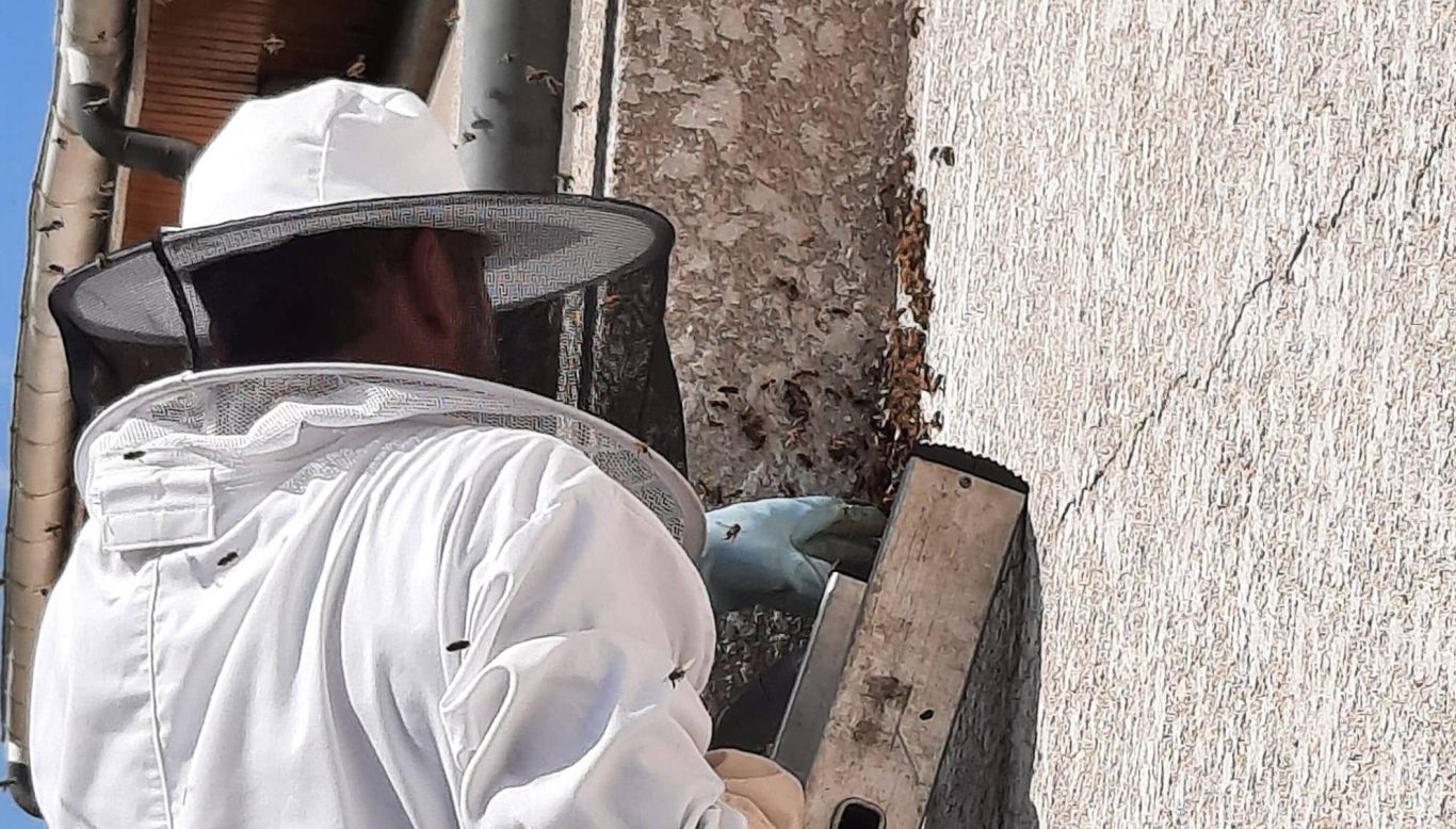 Cette image a un attribut alt vide ; le nom du fichier est image-1366x778.jpg