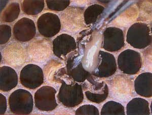 Cette image a un attribut alt vide ; le nom du fichier est image.jpg