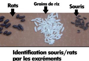 Cette image a un attribut alt vide ; le nom du fichier est image.jpg
