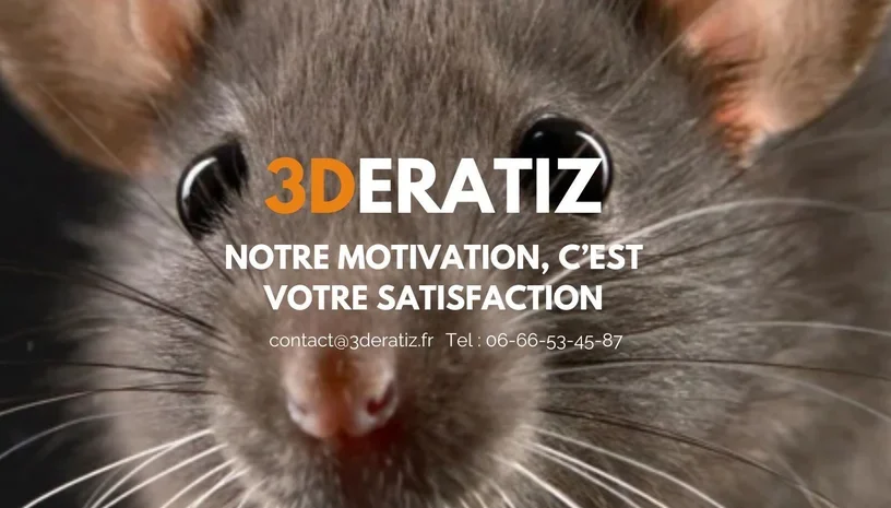 Cette image a un attribut alt vide ; le nom du fichier est image.webp